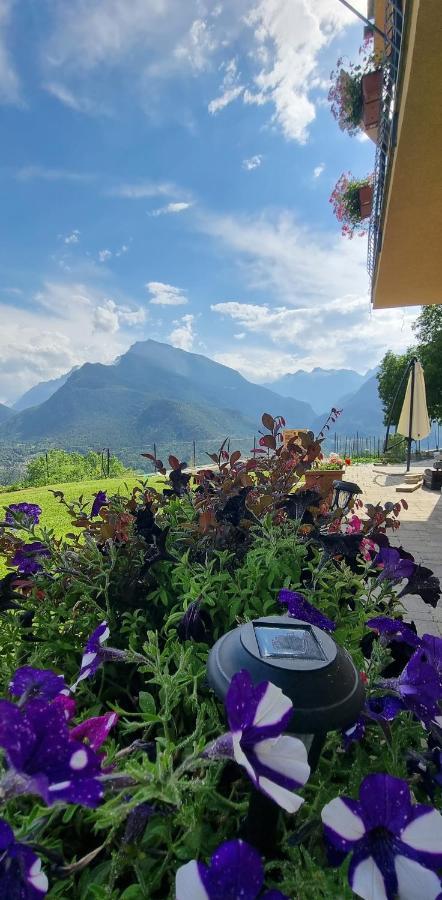 Bed and Breakfast Lo Noyer Et Les Roses Сен-Никола Экстерьер фото